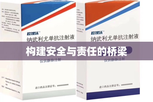 绍兴构建安全与责任的桥梁