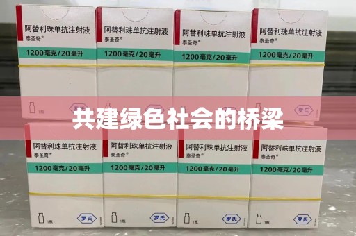 绍兴共建绿色社会的桥梁
